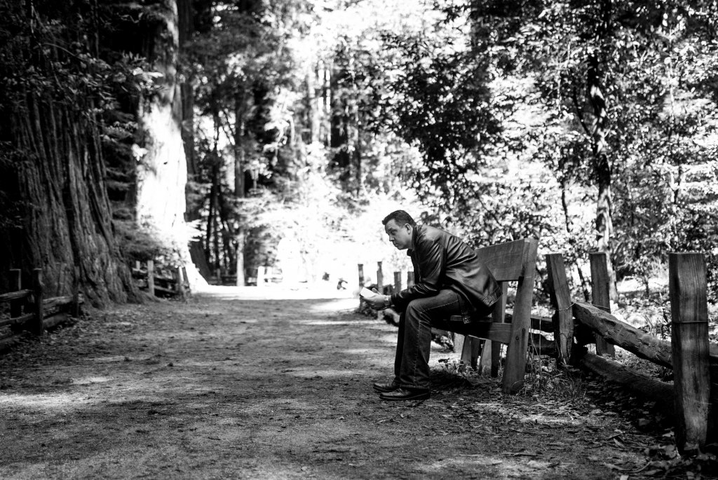 Reading aesthetics in a redwood forest