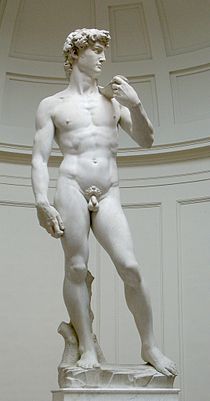 Michelangelo's David