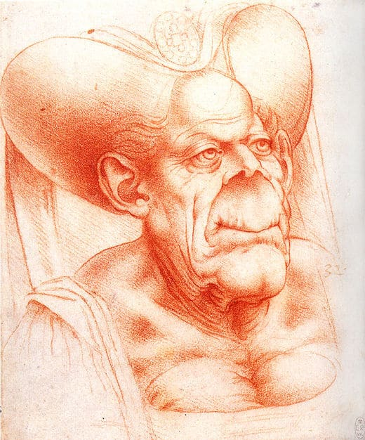 Grotesque head by Leonardo da Vinci