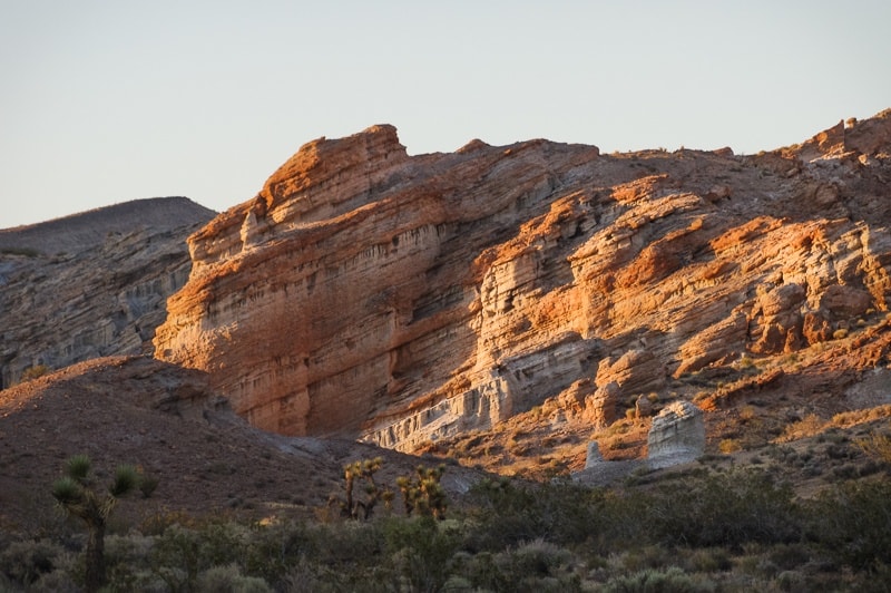 C2011 Pamela Reynoso Photo Red Rock Canyon-2