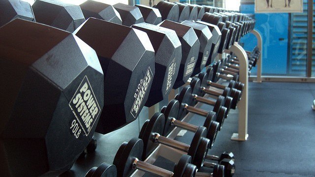 dumbbells on a rack in a gym