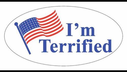 Graphic with an American flag with the words "I'm Terrified"