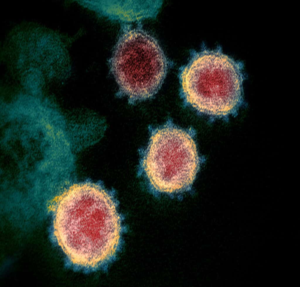 Novel_Coronavirus