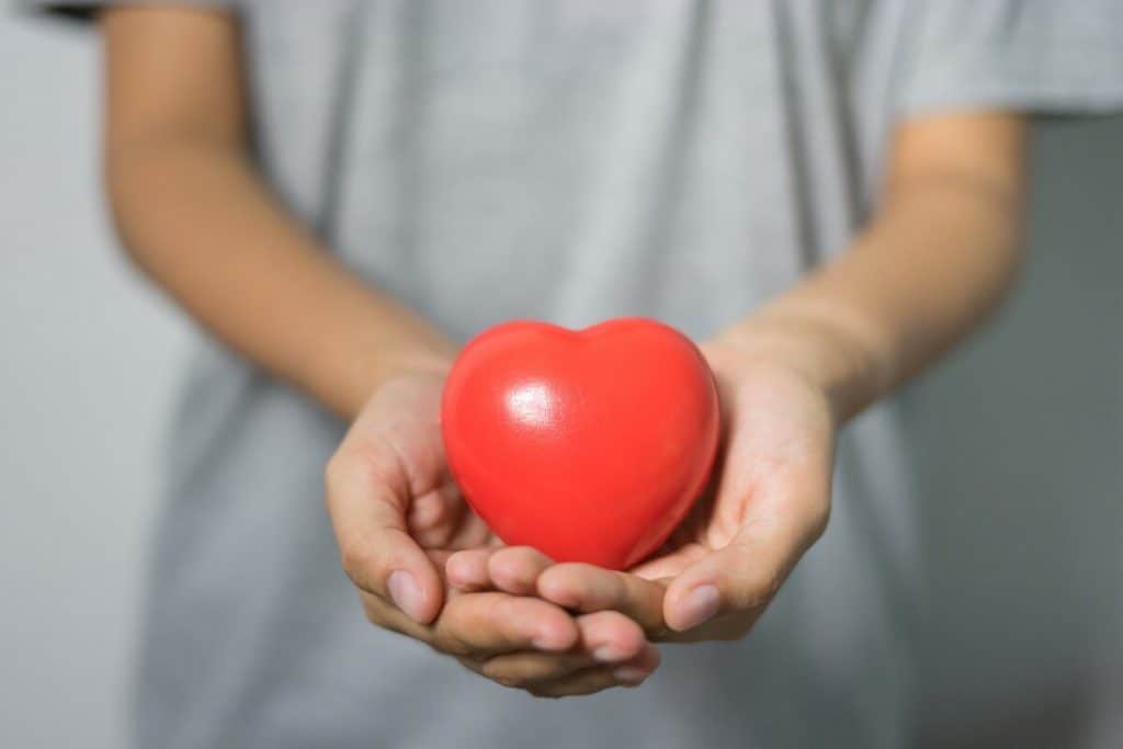 a puffy red heart toy is in the cupped hands of a young child
