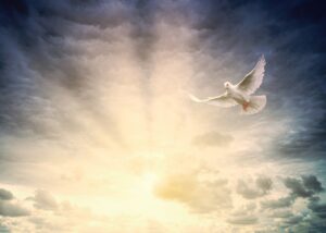 SBC sees striking rise in south Asian baptisms