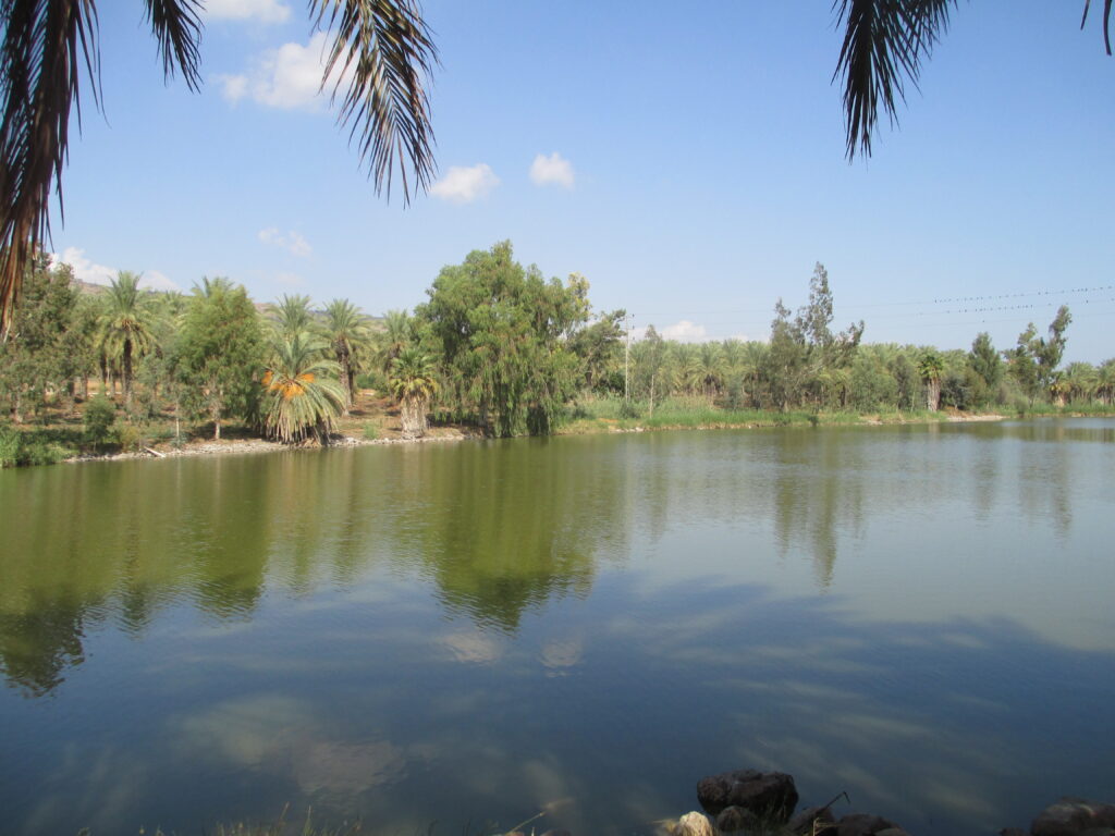PikiWiki_Israel_40414_Jordan_river_reserve