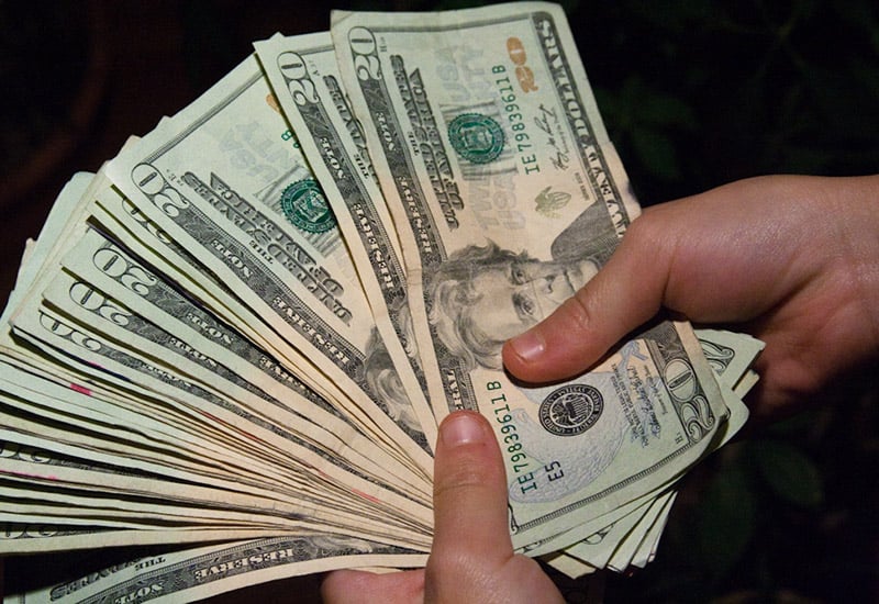 Hands hold multiple twenty dollar bills fanned out.