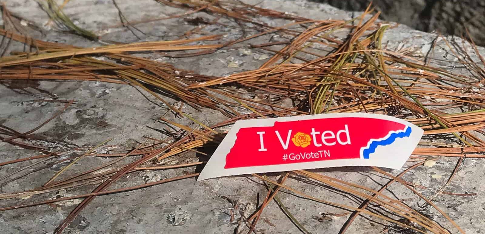 a TN shaped "I voted" sticker laying on a stone wall and pine needles