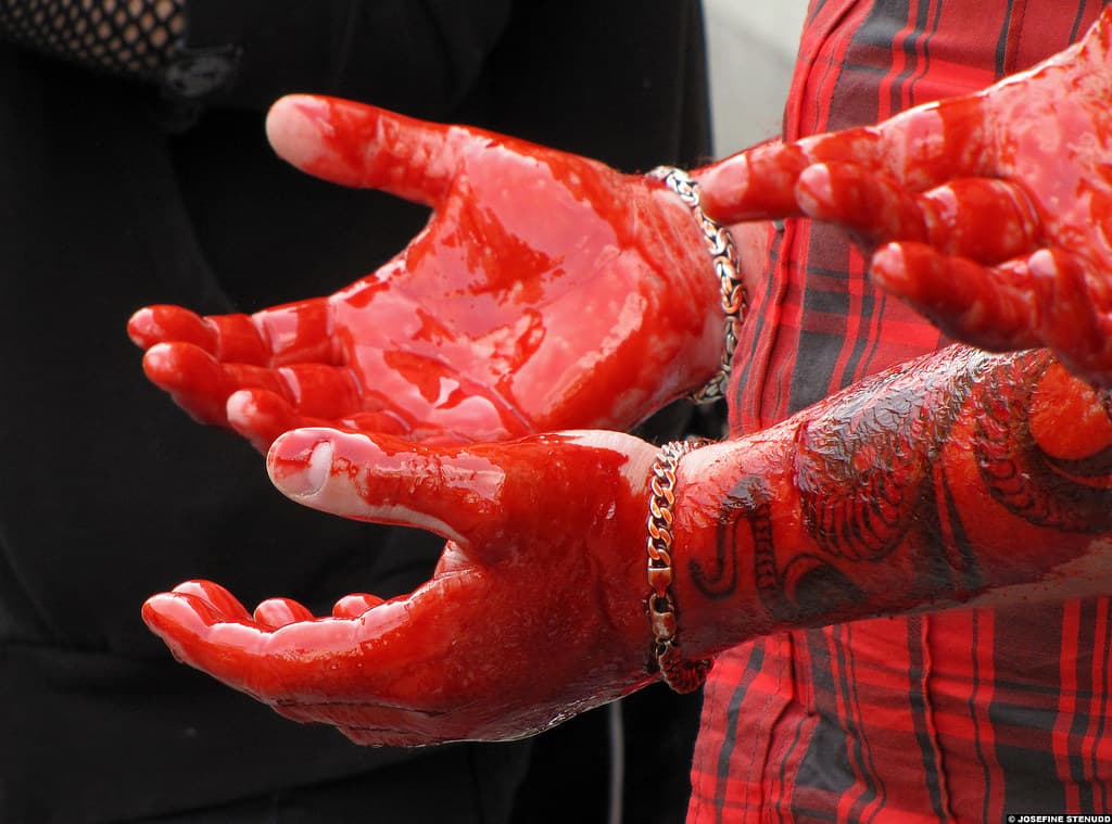 photo of a white man's hands covered in fake blood and held in front of his red and black plaid shirt