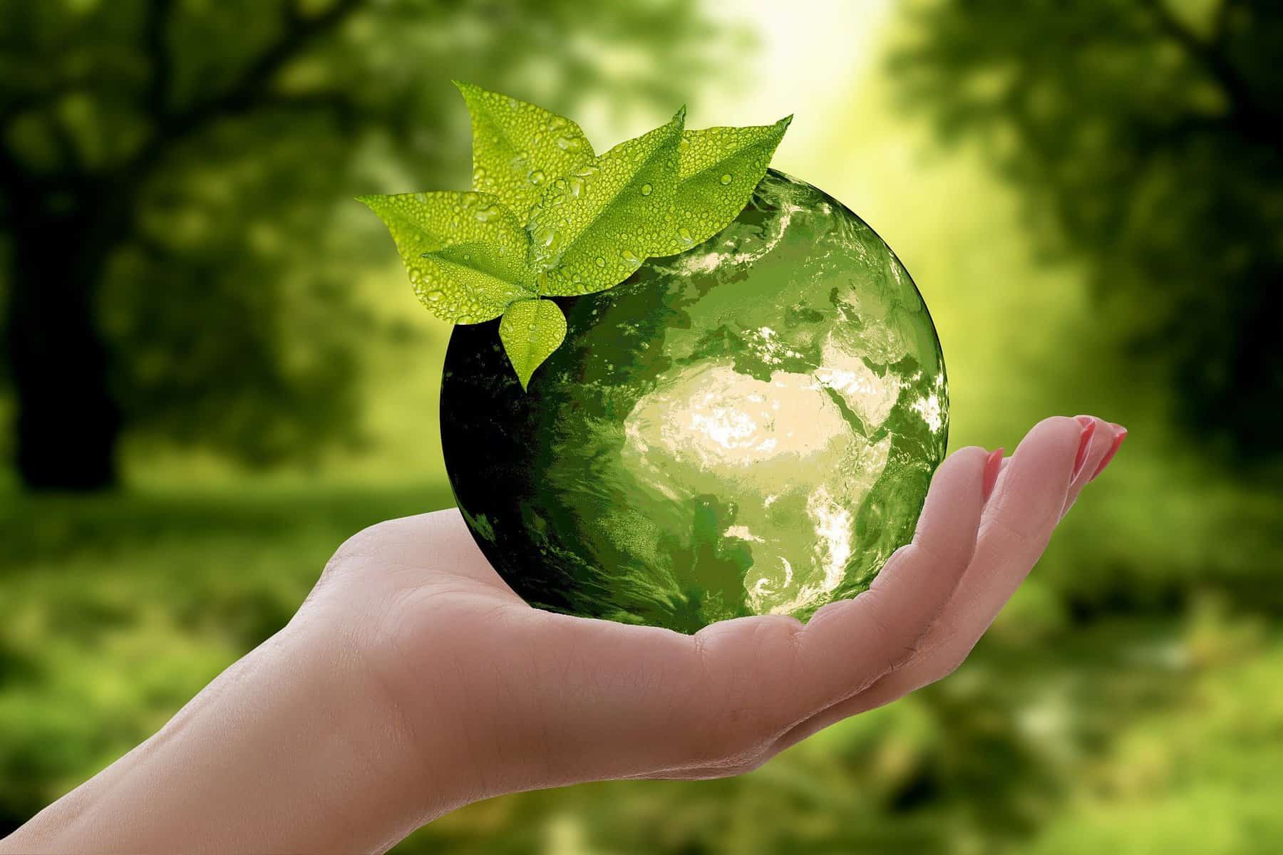 a woman's hand holds a green glass globe against a green vegetation background with a sprig of dew-covered leaves coming out of it.