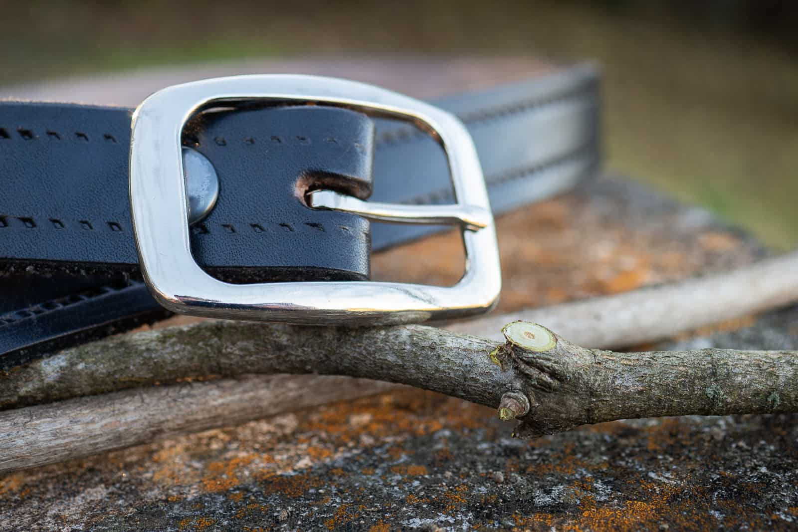 In a close up, the silver buckle of a black leather belt sits on a couple twigs, one with a pruning cut. All items sit on old weathered concrete.