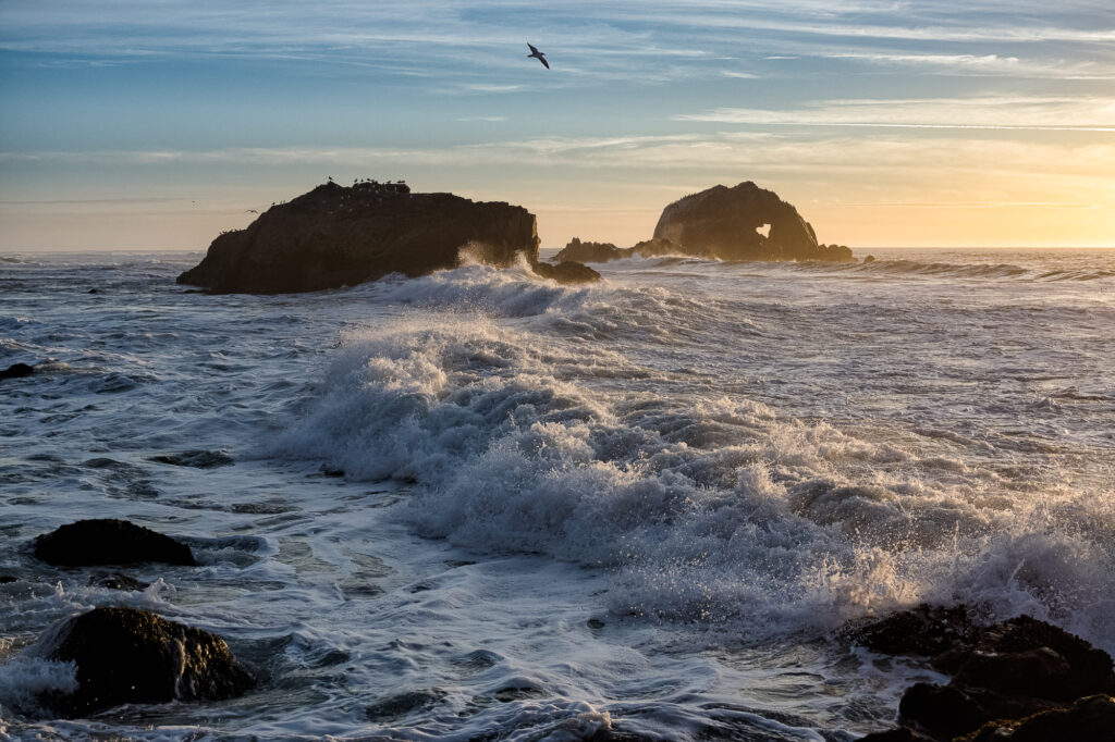 View of the ocean at sunset off the coast of San Francisco at Sutro Baths with crashing waves on rocks and a seagull flying above. One rock formation has a cut out in the shape of a heart.