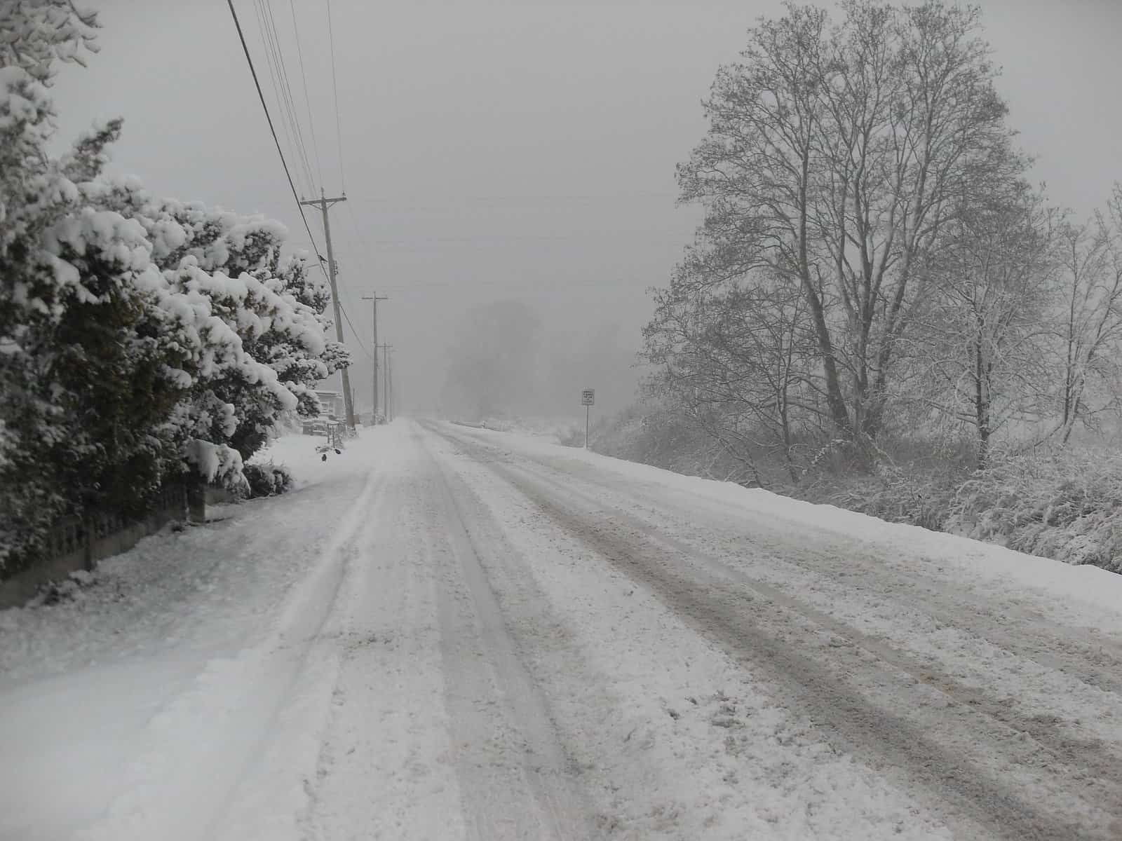 A snowy road is shown lined with trees.