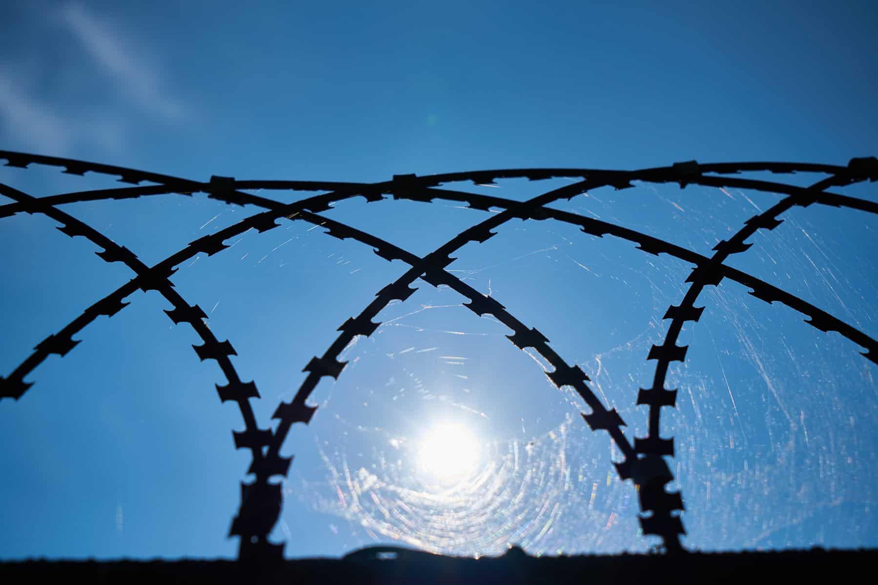 Metal arches, perhaps barbed wire, in silhouette against a blue sky.