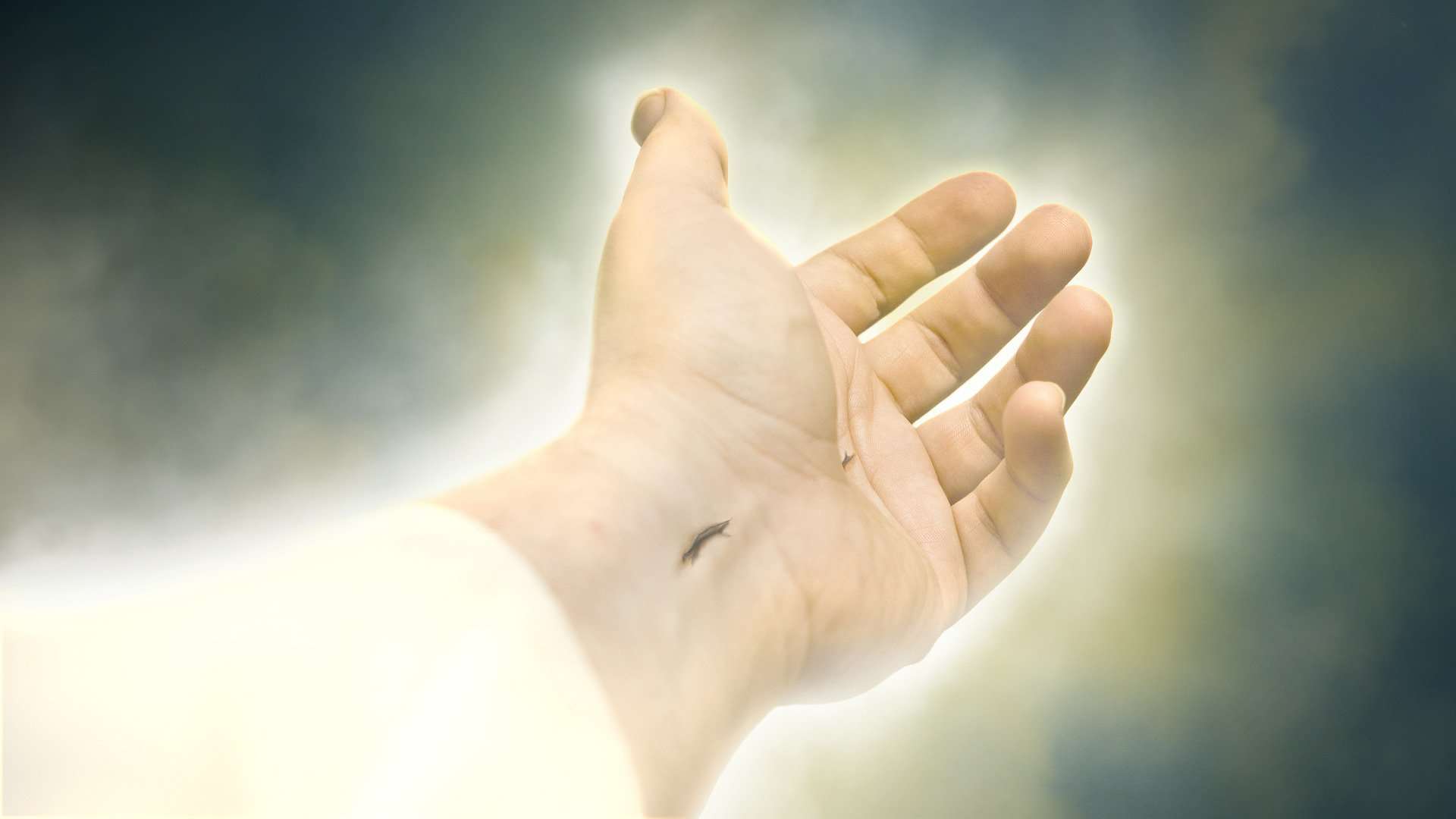 A palm up hand appearing to be Jesus' is shown in an aura of light with a piercing on the wrist.