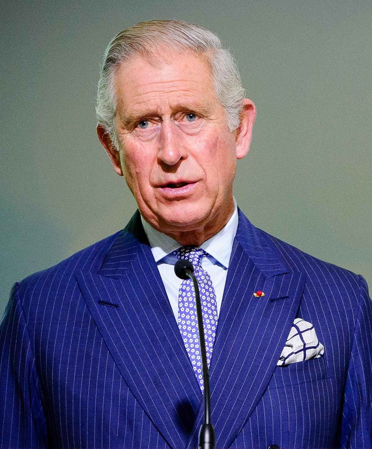 King Charles is shown in a royal blue pinstripe suit at a speaking event.