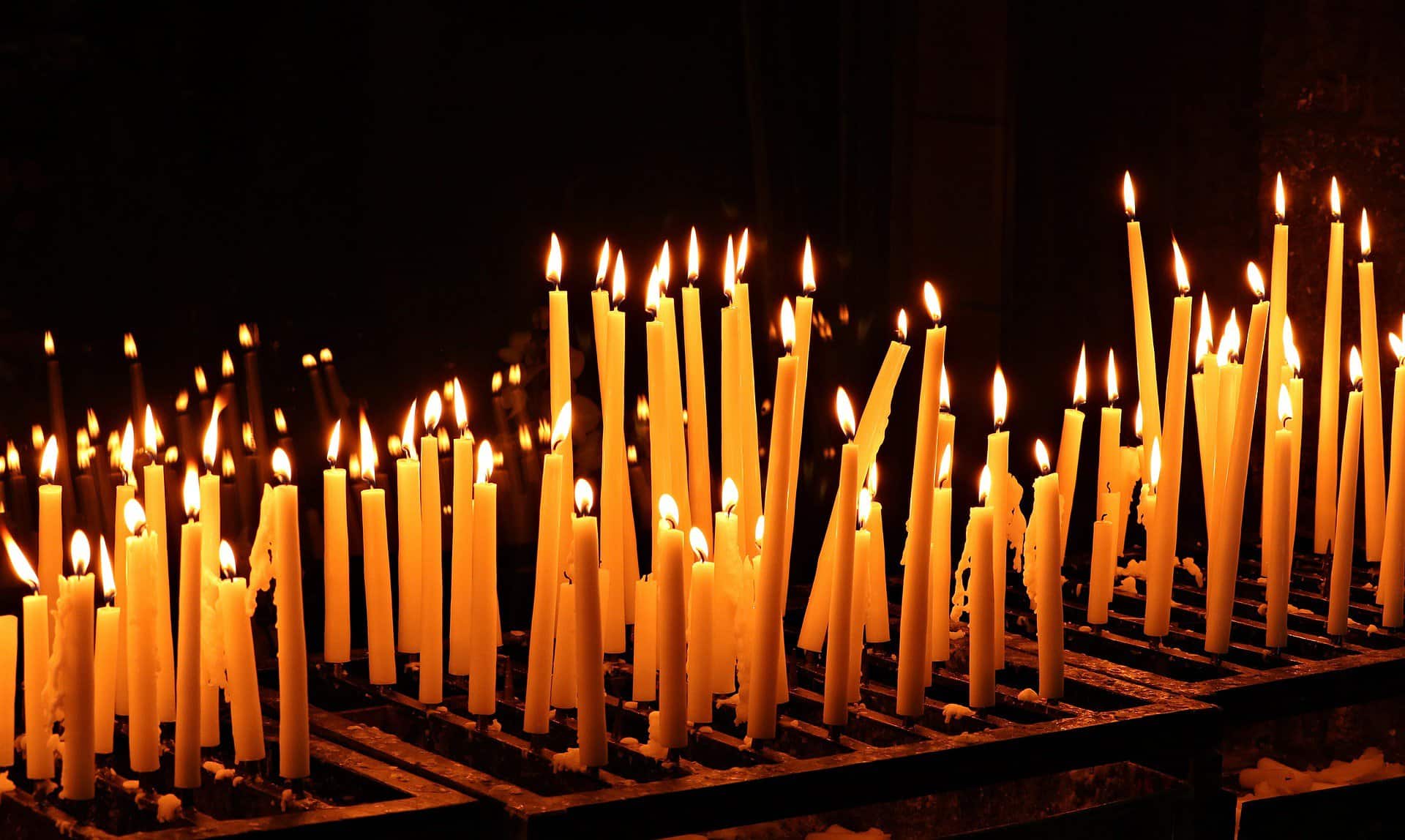 Many lit, orange tapered candles are shown clumped together.