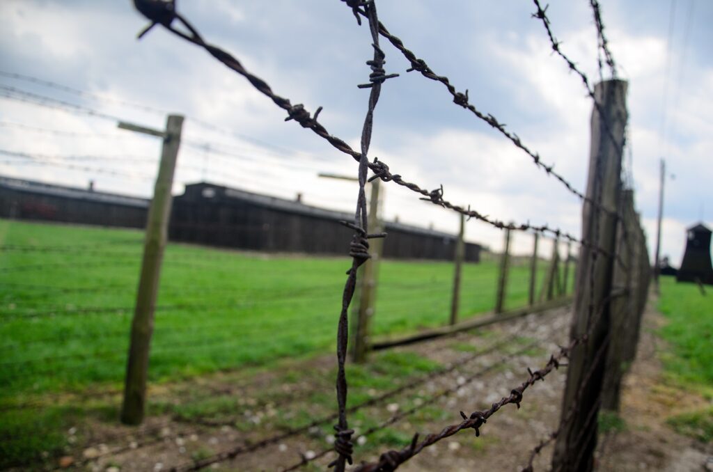 Barbed wire fencing is shown quite close up with a green field and building behind.
