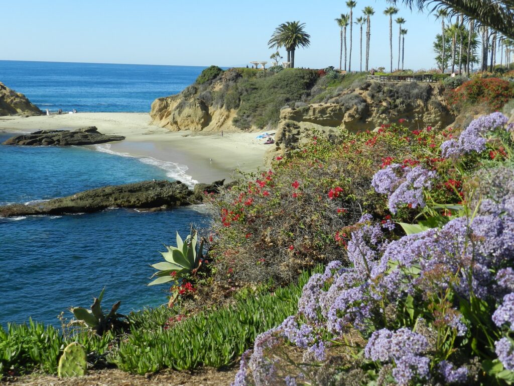A photo of the ocean shore with palm trees and plants for an arid area is shown.