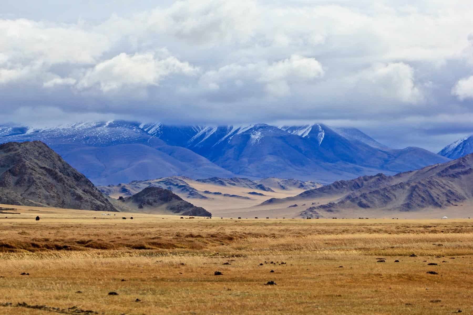 Mountains in Mongolia are seen with golden grass in front of them.