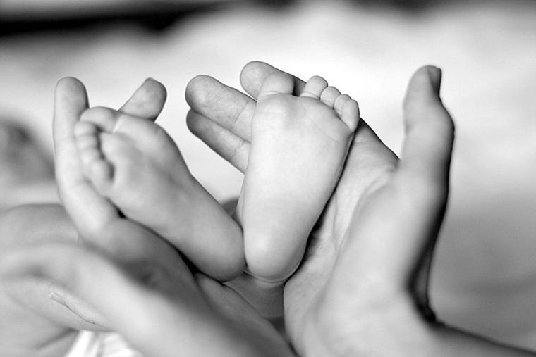 The hands of an adult hold a baby's feet in this light black and white image.