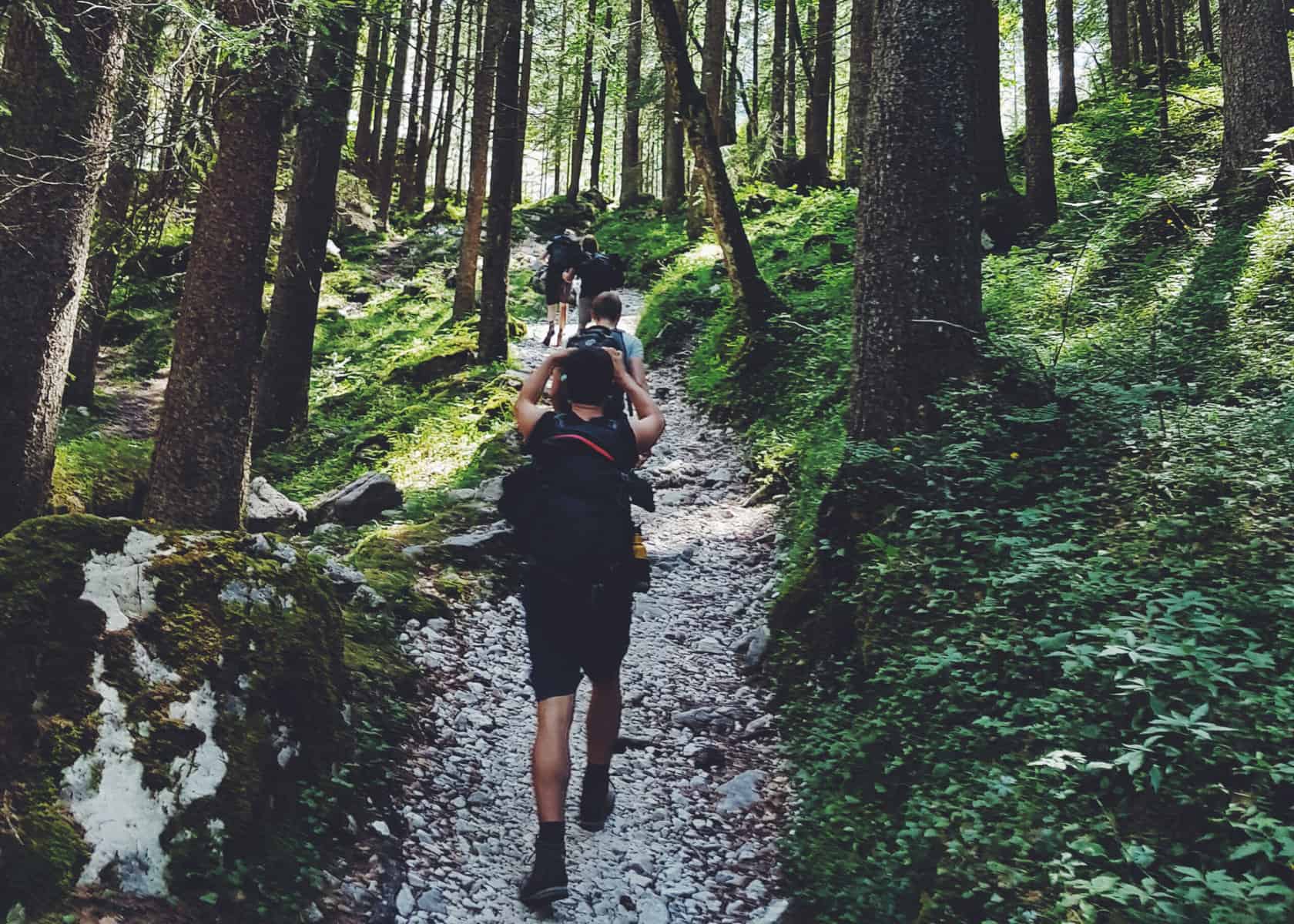 People are shown in low light walking away from the camera on a forest trail.