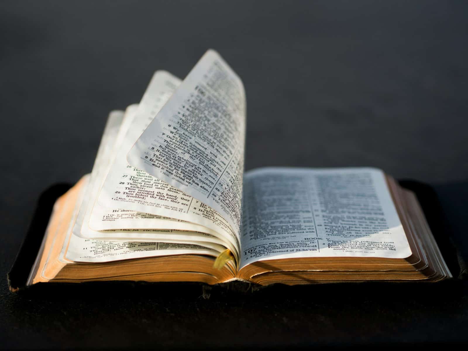 A bible sits open with pages turning by the wind in soft side light.