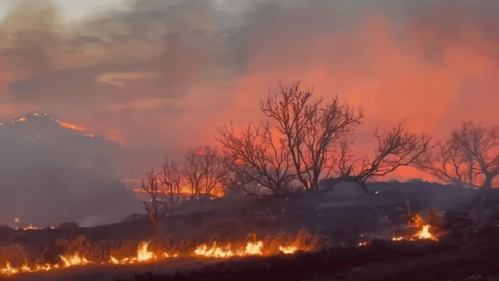 Texas wildfire with a tree in the foreground.