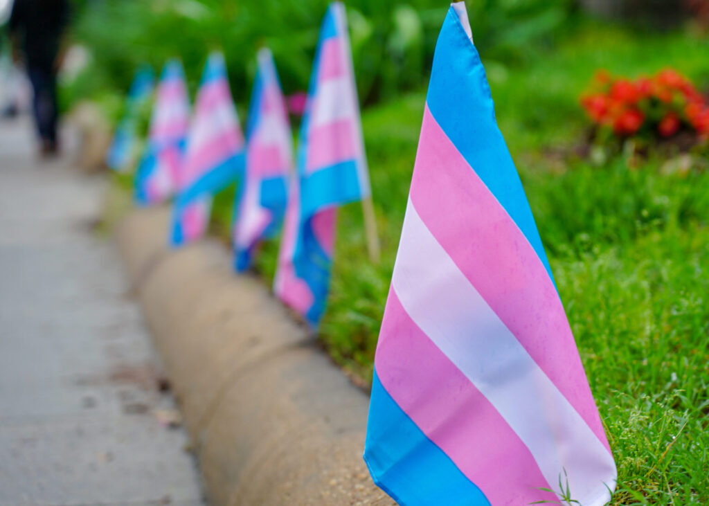 Transgender pride flags lined up in grass at a curb