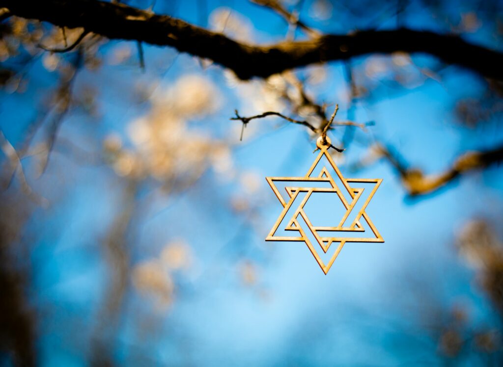 New survey highlights deep divisions over antisemitism and Trump’s actions Star of David hanging from a branch