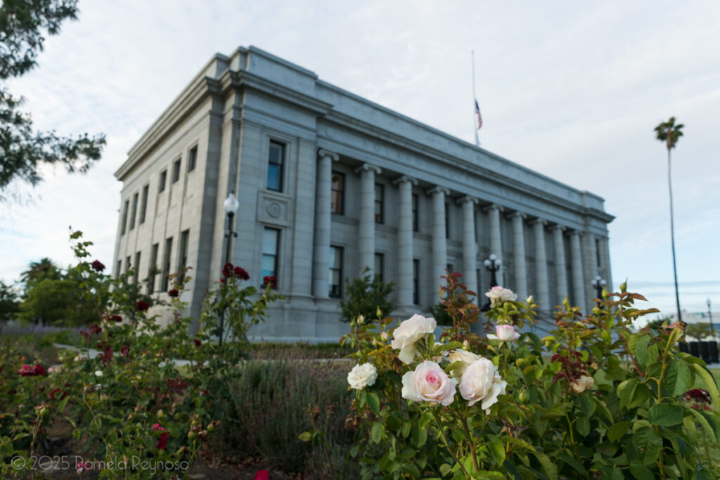 T.D. Jakes drops defamation suit against pastor Duane Youngblood An old columned courthouse