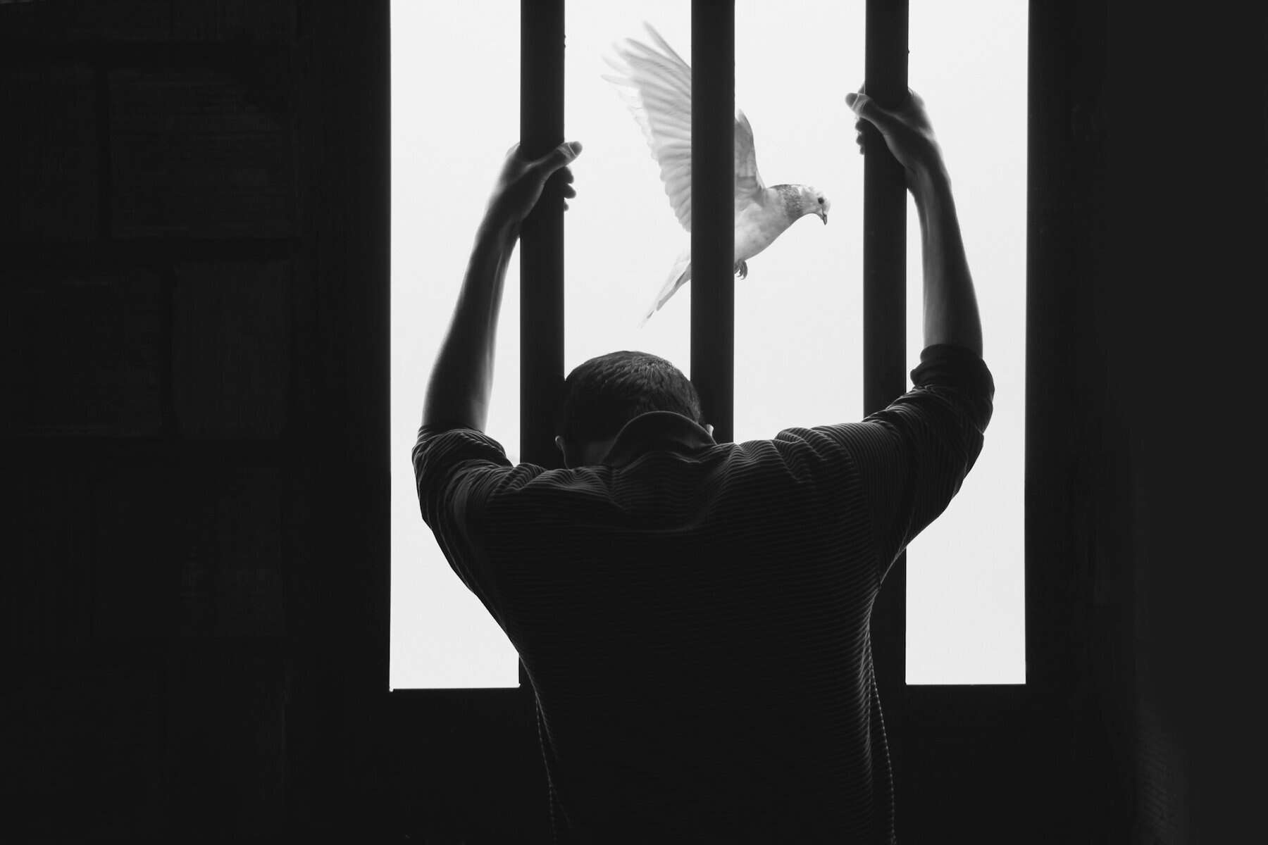 Black and white image of a man holding prison bars with a dove flying in front of him beyond the bars.