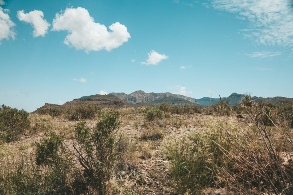 A landscape scene in Texas with scrubland in the foreground and mountains in the background.