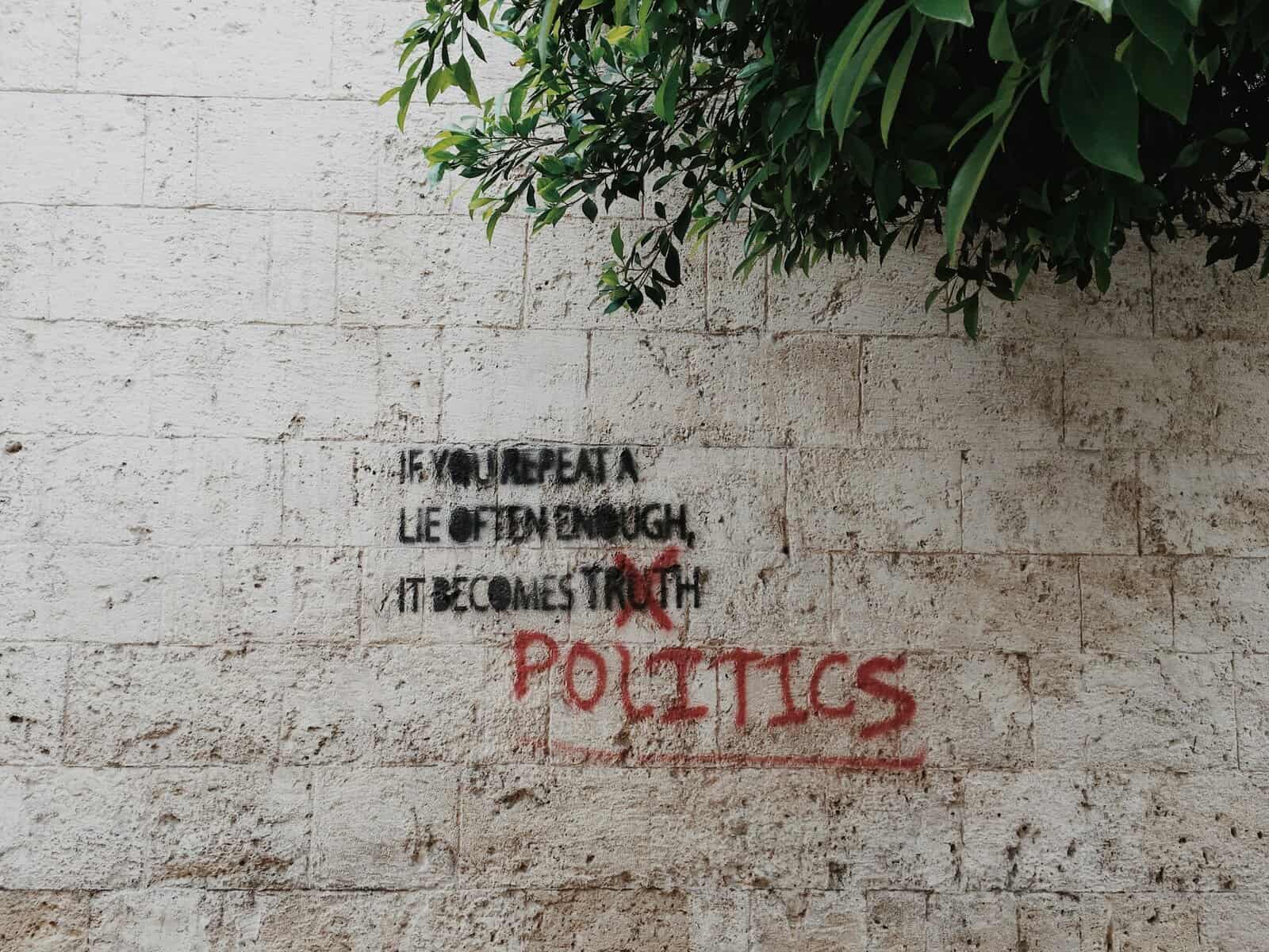 Politics quote