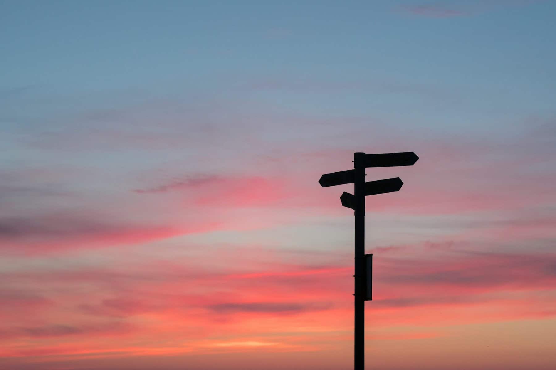 Street signs in silhouette against a pink sky.