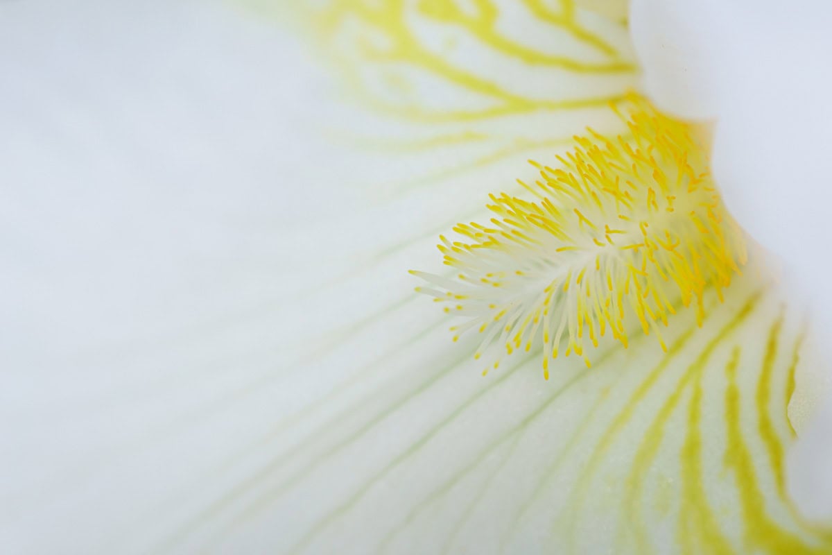 Pursue Righteousness and Kindness: The Promise and the Tension (Proverbs 21:21)