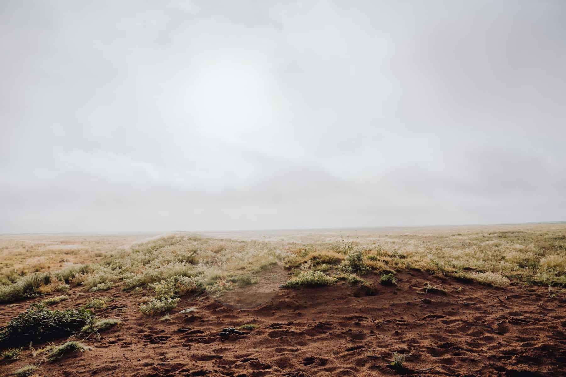 Scrub land like in the American southwest with animal hoof prints in the foreground dirt.