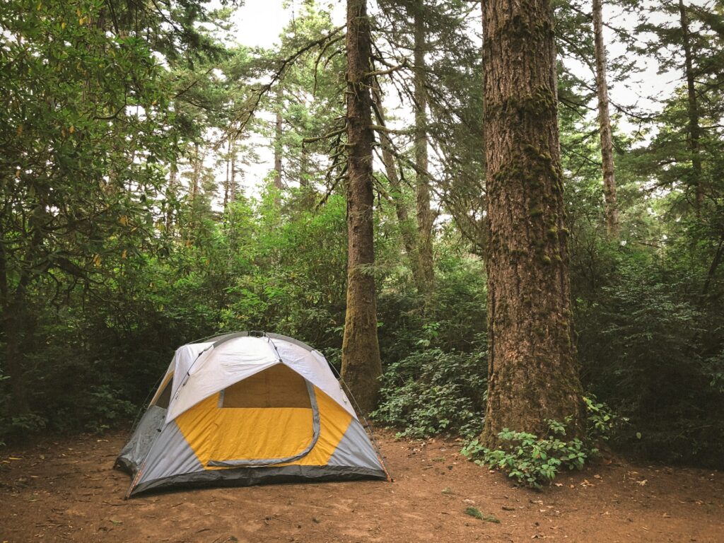 A yellow tent in a forest clearing.