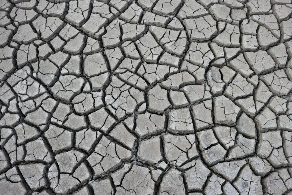 White Privilege at the End of the World A black and white image of dry, cracked mud.