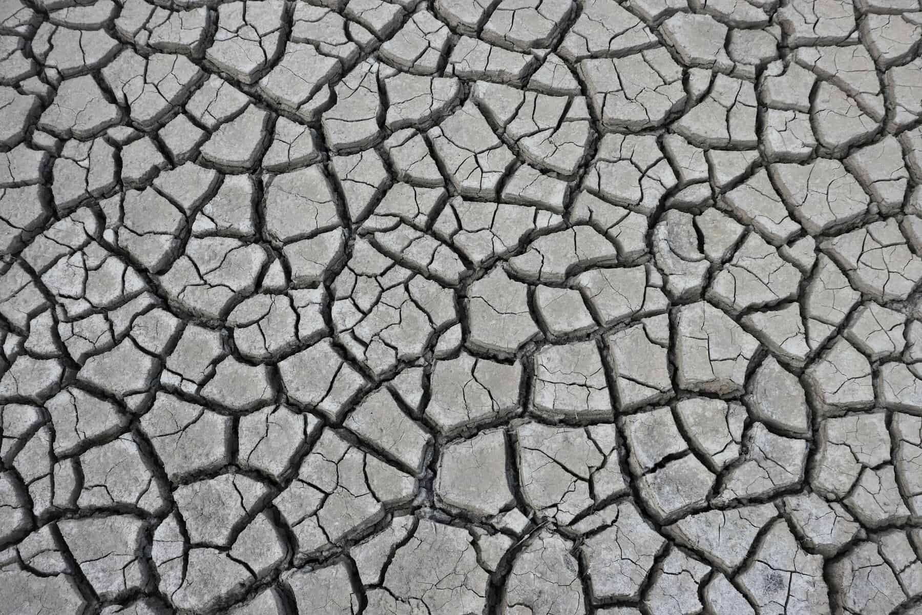 A black and white image of dry, cracked mud.