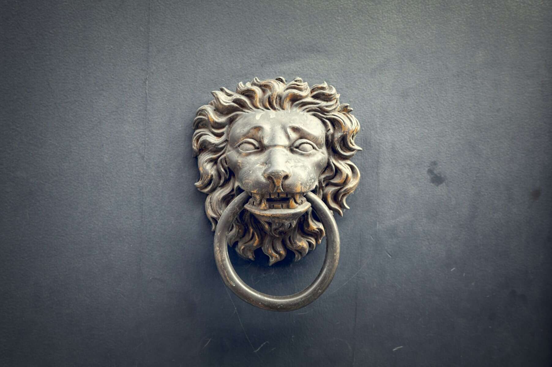 A lions head door knocker