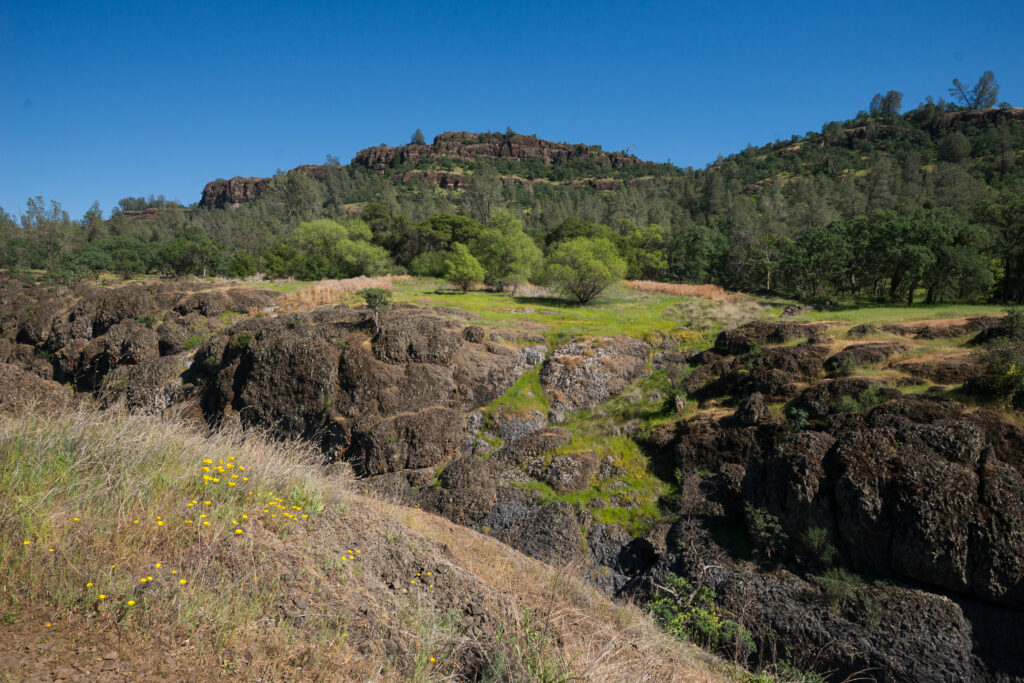 Truth, Humility, and Living Before an Eternal God (Psalm 90:2) Lovejoy Basalt, Upper Bidwell Park- volcanic rock outcroppings covered in green trees and grass.
